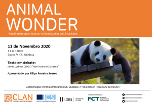 11-11-20 Cartaz Animal Wonder