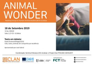 18-09-19 Cartaz Animal Wonder