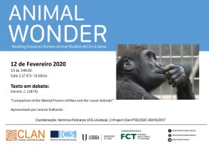 12-02-2020 Cartaz Animal Wonder