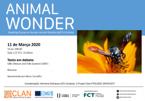 11-03-2020 Cartaz Animal Wonder